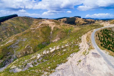 Photo of property in 3525 Masterton Castlepoint Road, Mangapakeha, Masterton, 5889