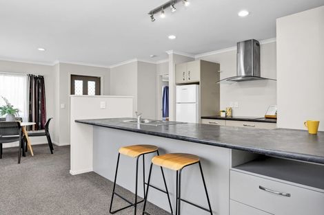 Photo of property in Trackside Villas, 53/91 Mako Mako Road, Levin, 5510