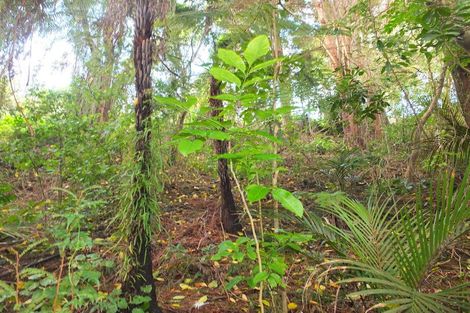 Photo of property in 48 Scott Road, Tamaterau, Whangarei, 0174