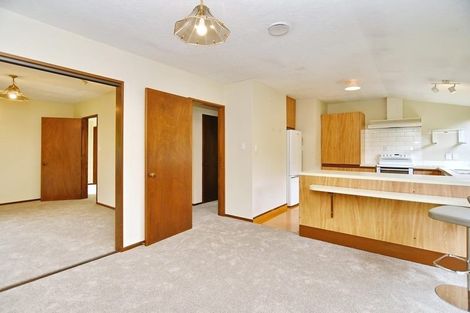 Photo of property in 44b Memorial Avenue, Ilam, Christchurch, 8053