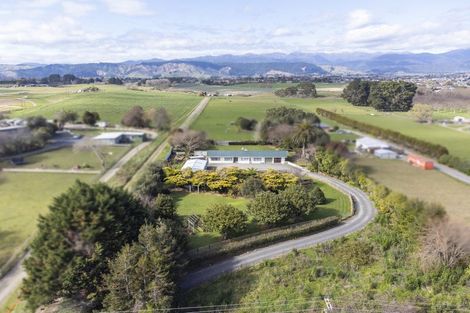 Photo of property in 244 Kawiu Road, Levin, 5510