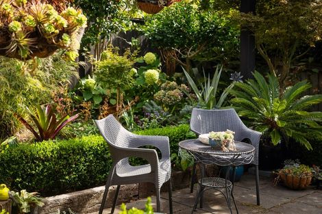 Photo of property in 70a Alberton Avenue, Mount Albert, Auckland, 1025