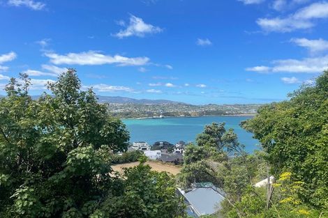 Photo of property in 6b Peranga Terrace, Hataitai, Wellington, 6021