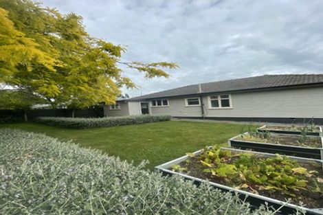 Photo of property in 6 Bellvue Avenue, Papanui, Christchurch, 8053