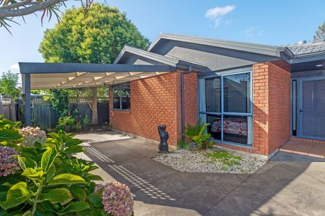 Photo of property in 163a Clifford Street, Whataupoko, Gisborne, 4010