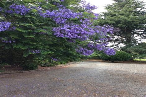 Photo of property in 585 Te Pua Road, Kaikohe, 0472