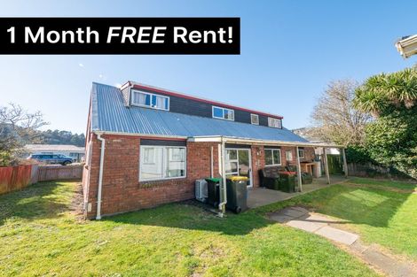 Photo of property in 119 North Road, North East Valley, Dunedin, 9010