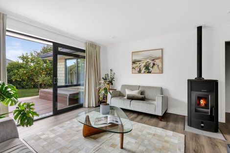 Photo of property in 24 Honiss Place, Cambridge, 3434