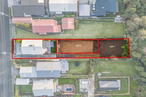 Photo of property in 42 Gaine Street, New Plymouth, 4310