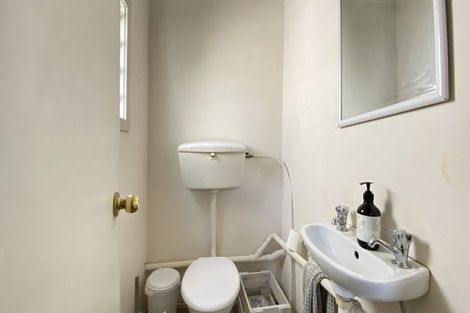 Photo of property in 26 Buchanan Street, Kingsland, Auckland, 1021