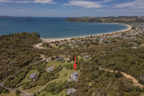 Photo of property in 995b Purangi Road, Cooks Beach, Whitianga, 3591