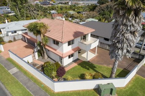 Photo of property in 226 Maungatapu Road, Maungatapu, Tauranga, 3112