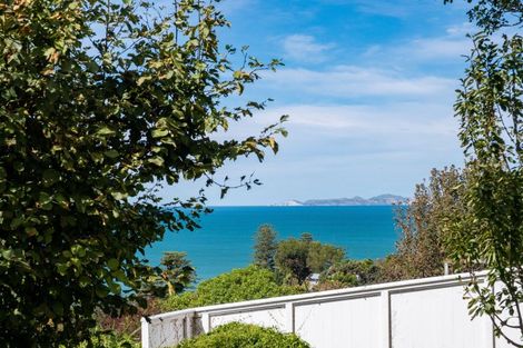Photo of property in 11 Lucy Road, Bluff Hill, Napier, 4110
