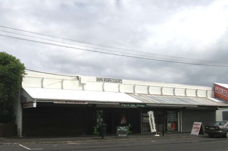 Photo of property in 91b Tripoli Road, Panmure, Auckland, 1072