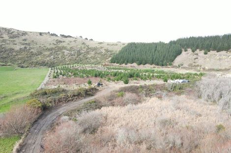 Photo of property in 350 Reu Reu Road, Halcombe, 4779