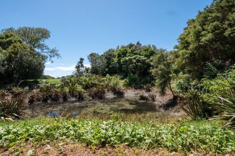 Photo of property in 77 Adler Drive, Ohauiti, Tauranga, 3112