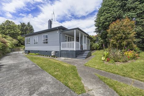 Photo of property in 73 Tirau Street, Putaruru, 3411