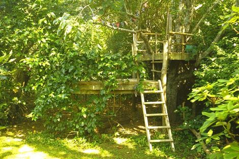 Photo of property in 49 Dodson Road, Takaka, 7183