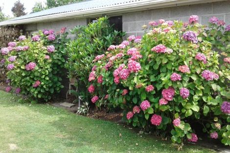 Photo of property in 7 Westmont Street, Ilam, Christchurch, 8041