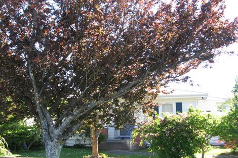 Photo of property in 301 Clifford Street, Whataupoko, Gisborne, 4010