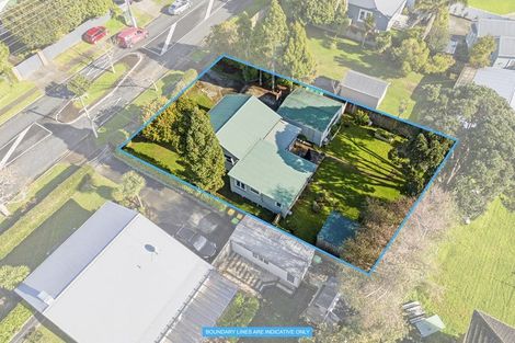 Photo of property in 19 Rimu Street, New Lynn, Auckland, 0600