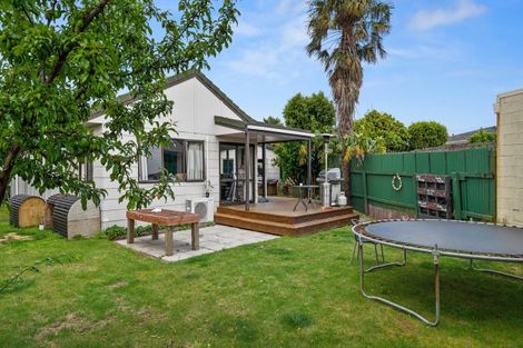 Photo of property in 38 Wickham Place, Hairini, Tauranga, 3112