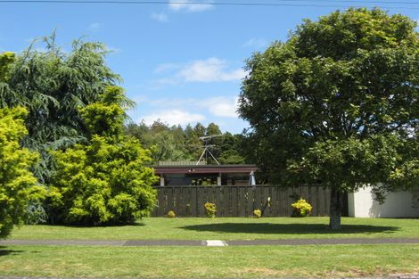 Photo of property in 25 Totara Avenue, Pukekohe, 2120