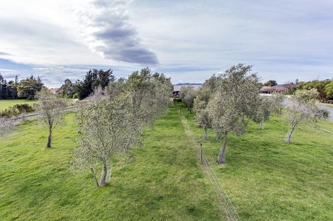 Photo of property in 16 Ropley Street, Amberley, 7410