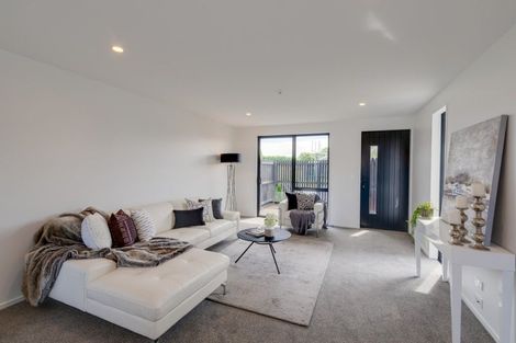 Photo of property in 146 Metehau Street, Marshland, Christchurch, 8083
