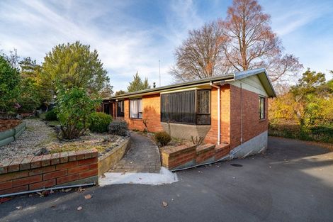 Photo of property in 184a Wai-iti Road, Highfield, Timaru, 7910