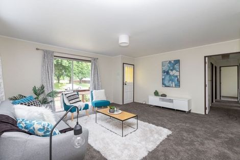 Photo of property in 392 Kahikatea Drive, Dinsdale, Hamilton, 3204