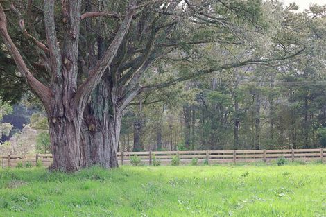 Photo of property in 519 Kara Road, Maungatapere, Whangarei, 0179