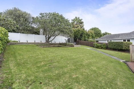 Photo of property in 12 Alton Avenue, Hillcrest, Auckland, 0627
