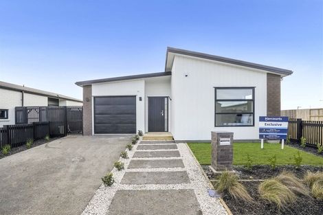 Photo of property in 67 Probert Crescent, Chartwell, Hamilton, 3210