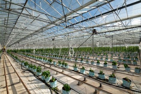 Photo of property in 1412 Dairy Flat Highway, Dairy Flat, Albany, 0794