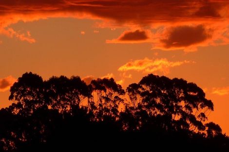 Photo of property in 256 Sutton Road, Drury, Papakura, 2584