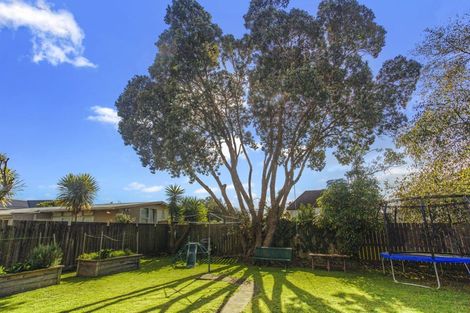 Photo of property in 19 Rimu Street, New Lynn, Auckland, 0600