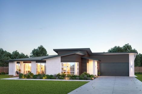 Photo of property in 11 Edwin Grove, Bethlehem, Tauranga, 3110