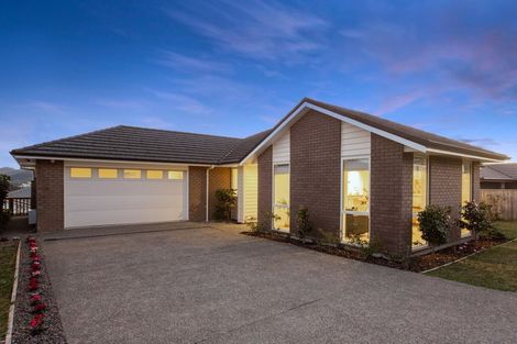 Photo of property in 167 John Burke Drive, Aotea, Porirua, 5024