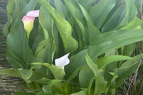 Photo of property in 37 Grey Street, Shannon, 4821