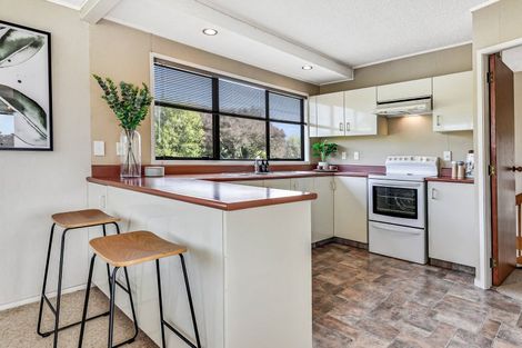 Photo of property in 48 Amanda Avenue, Dinsdale, Hamilton, 3204