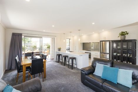 Photo of property in 31a Manson Street, Terrace End, Palmerston North, 4410