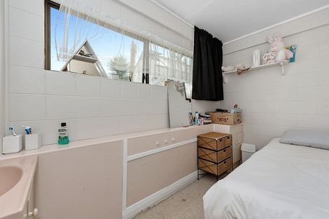 Photo of property in 19 Ridout Street, Maeroa, Hamilton, 3200