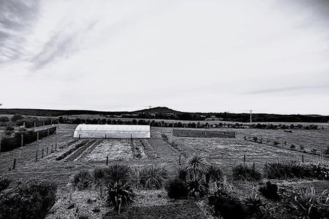 Photo of property in 1961 Te Matai Road, Ngawaro, Te Puke, 3188