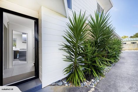 Photo of property in 117a Matapihi Road, Mount Maunganui, 3116