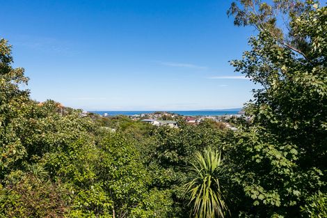 Photo of property in 55b Every Street, Andersons Bay, Dunedin, 9013