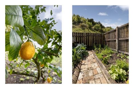 Photo of property in 216 Valley Road, Kawerau, 3127