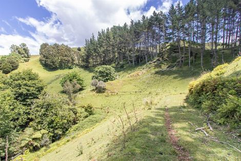 Photo of property in 822 Motukawa Road, Tarata, Inglewood, 4387