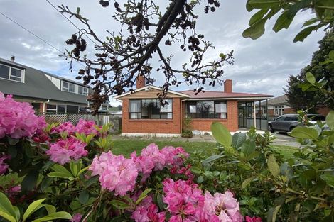 Photo of property in 260 Highcliff Road, Shiel Hill, Dunedin, 9013