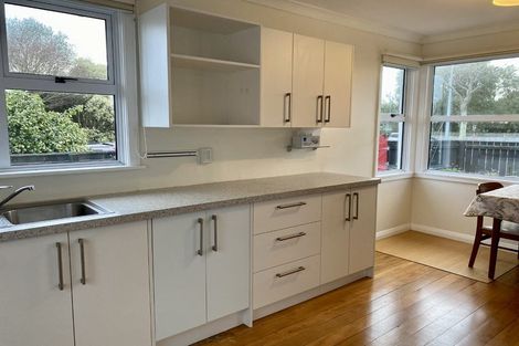 Photo of property in 68 Newcastle Street, Terrace End, Palmerston North, 4410